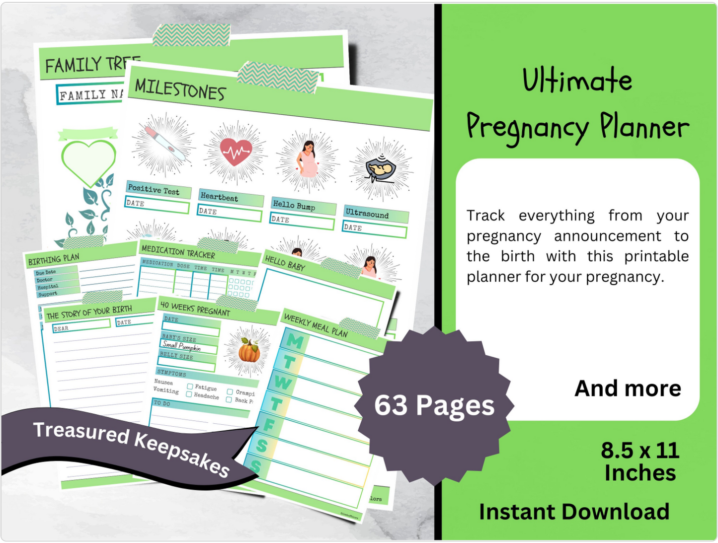 Ultimate Printable Pregnancy Planner with Fruit Vegetable Baby Sizes