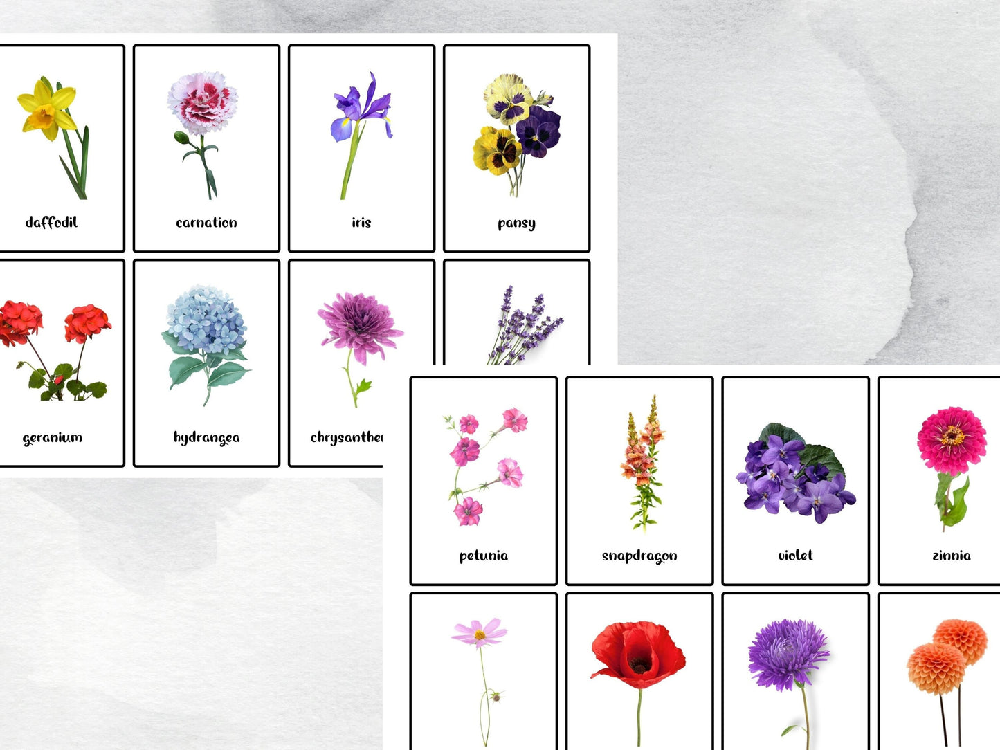 40 Real Flower Flash Cards, Toddle Flash Cards, Garden Preschool Printables