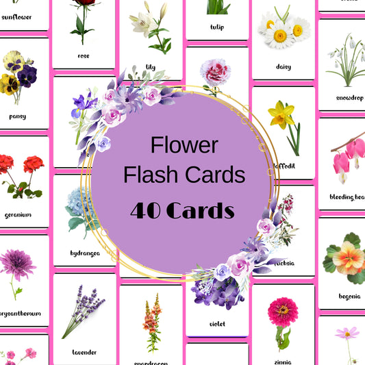 40 Real Flower Flash Cards, Toddle Flash Cards, Garden Preschool Printables