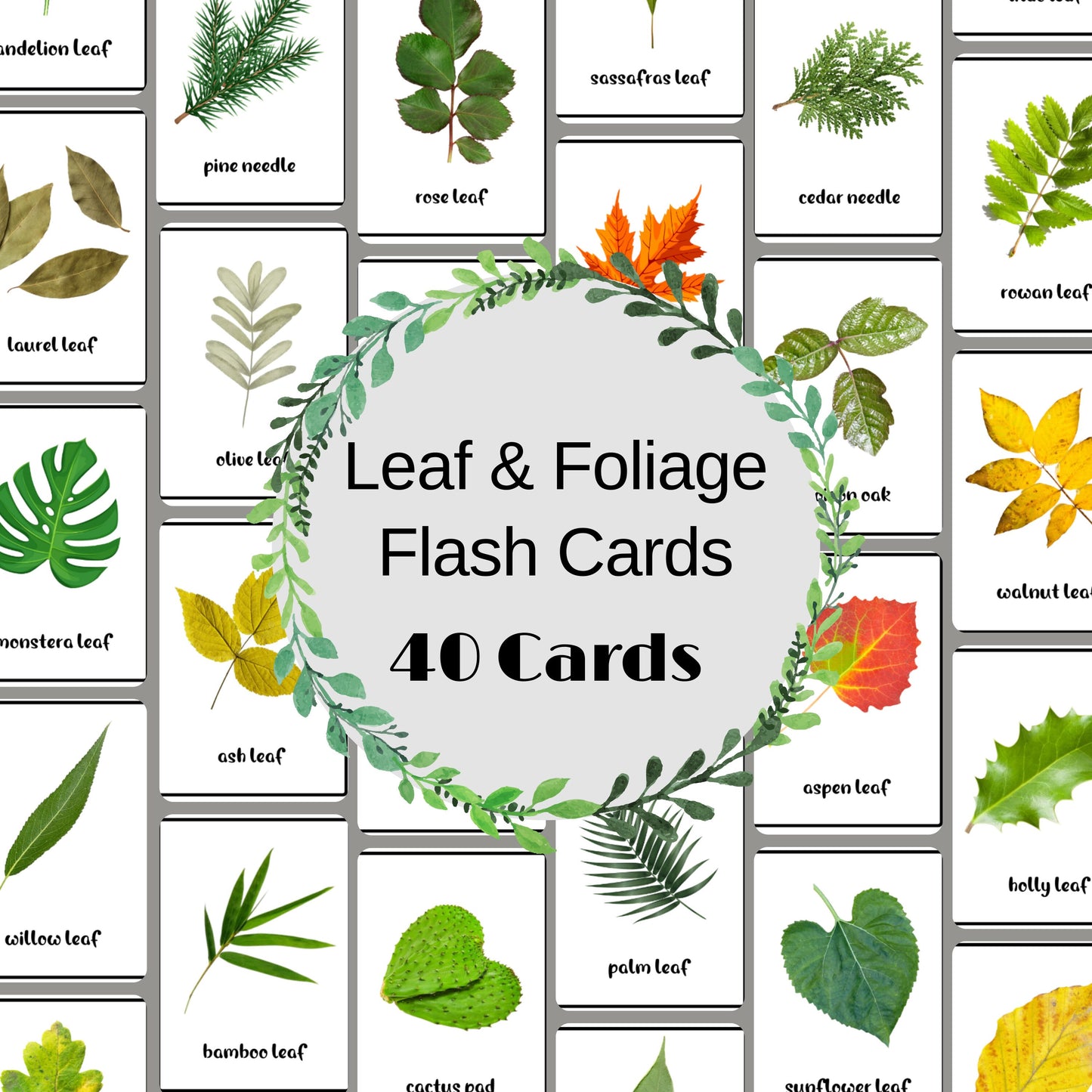 40 Leaf & Foliage Printable Flashcards, Printable Montessori Cards