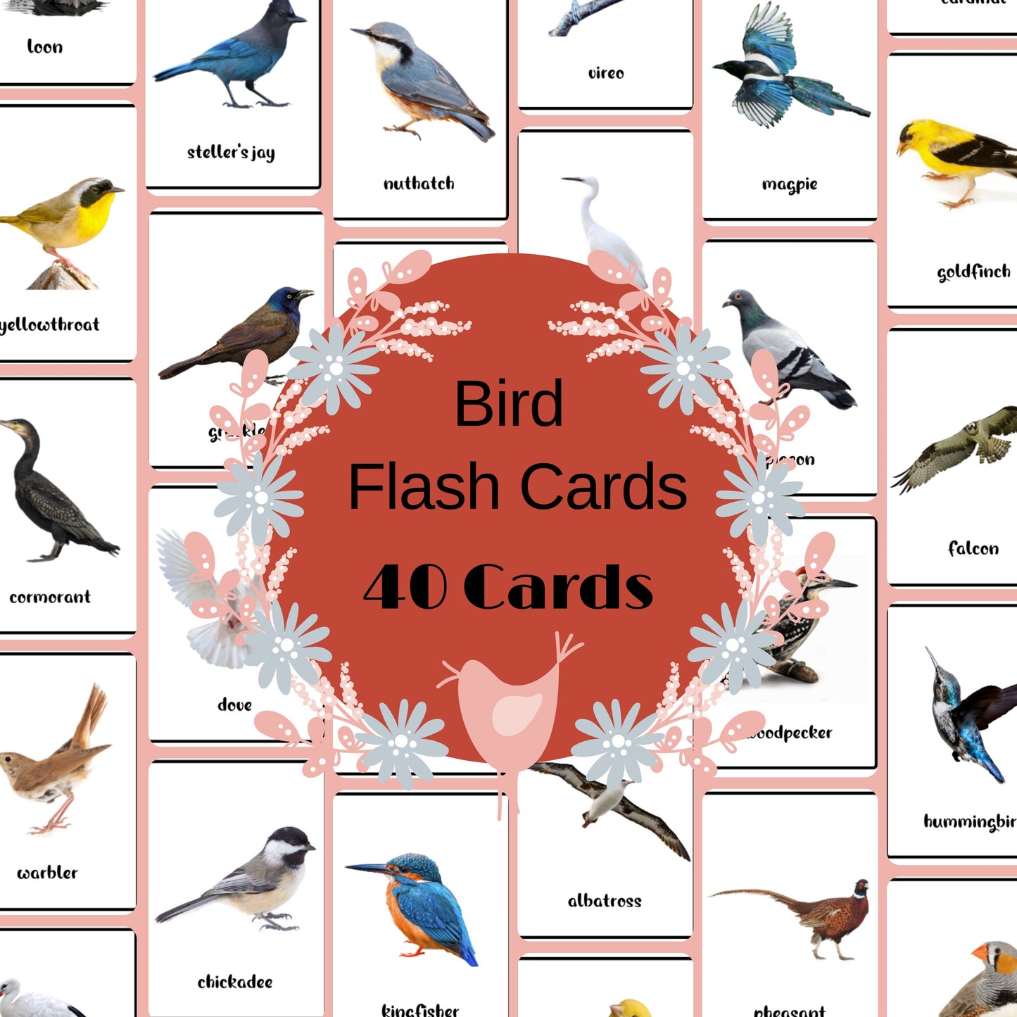 40 Bird Flash Cards, Bird Identification Printable Learning Materials