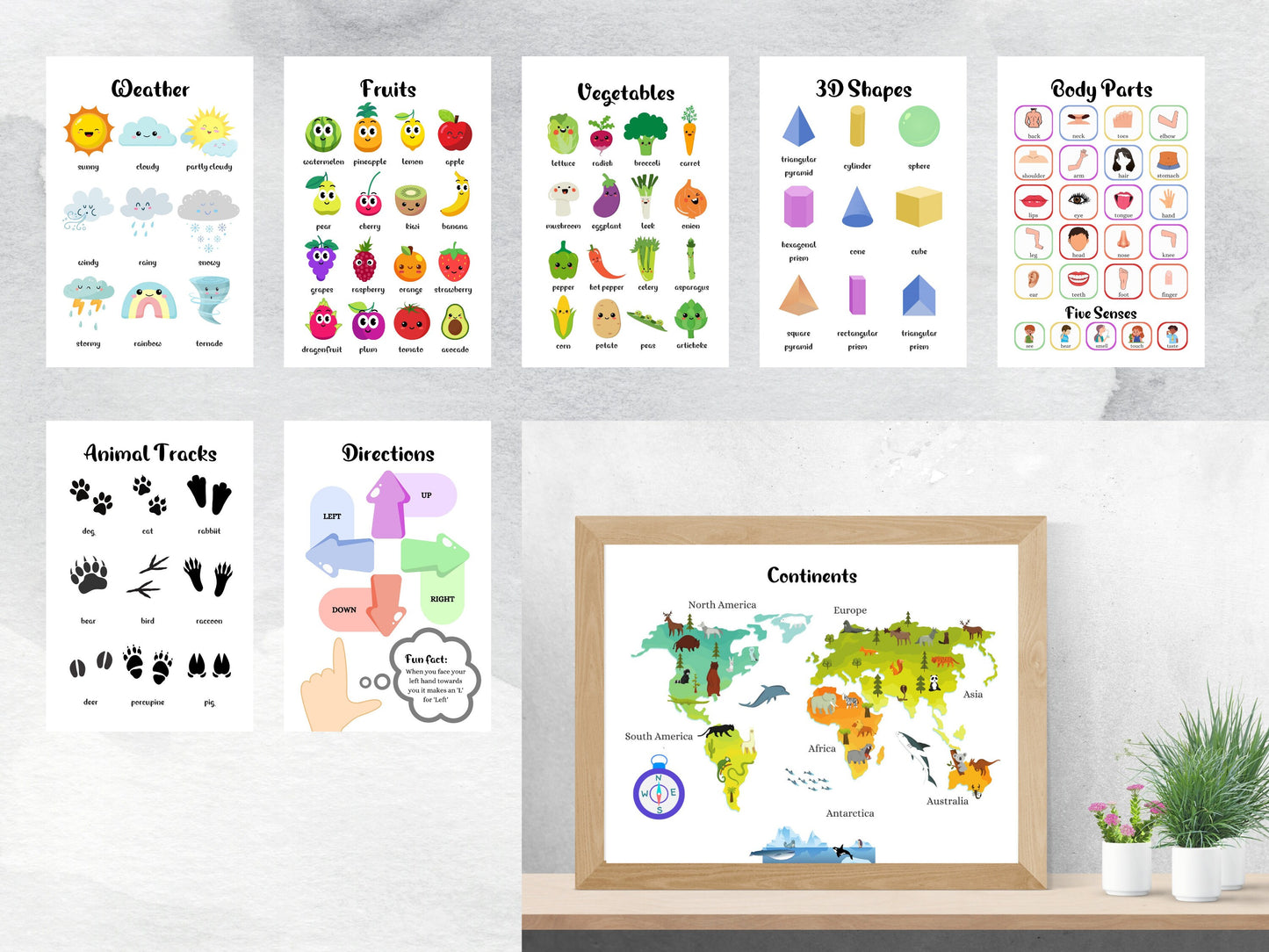 Educational Resources Art Prints & 250+ Flashcards