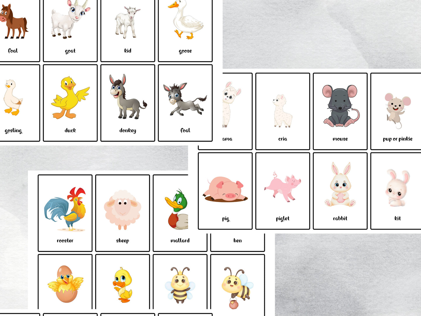 37 Farm Animals & Their Babies Flashcards