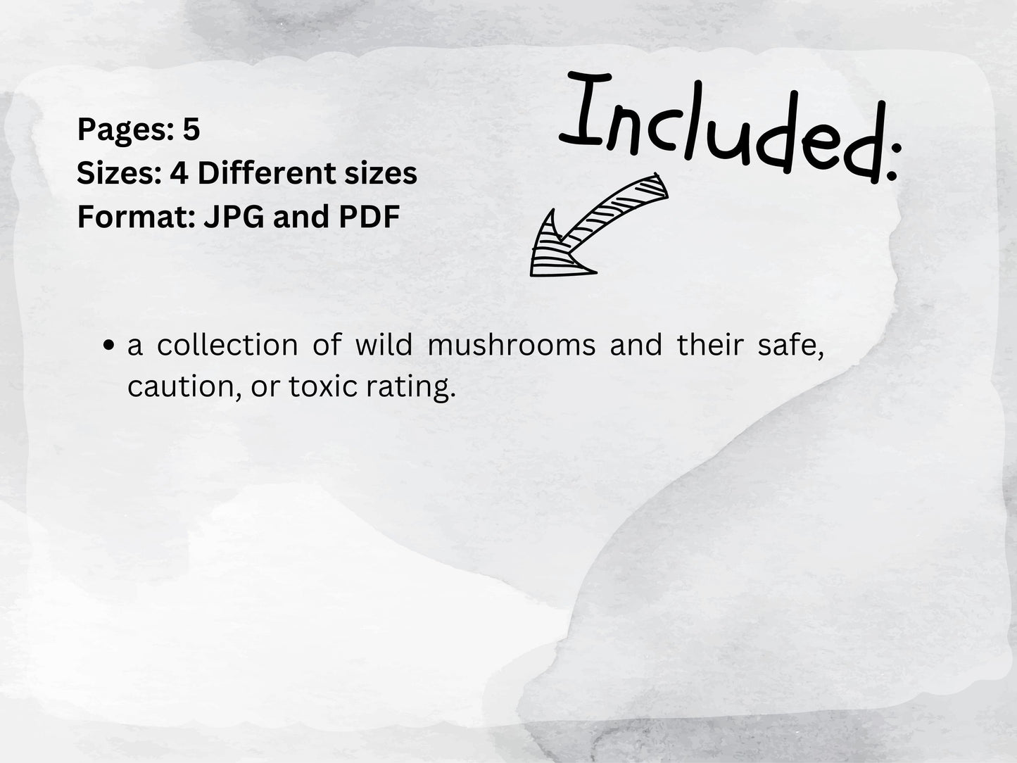 40 Mushroom Flash Card, Safe & Dangerous Fungi Species Identification