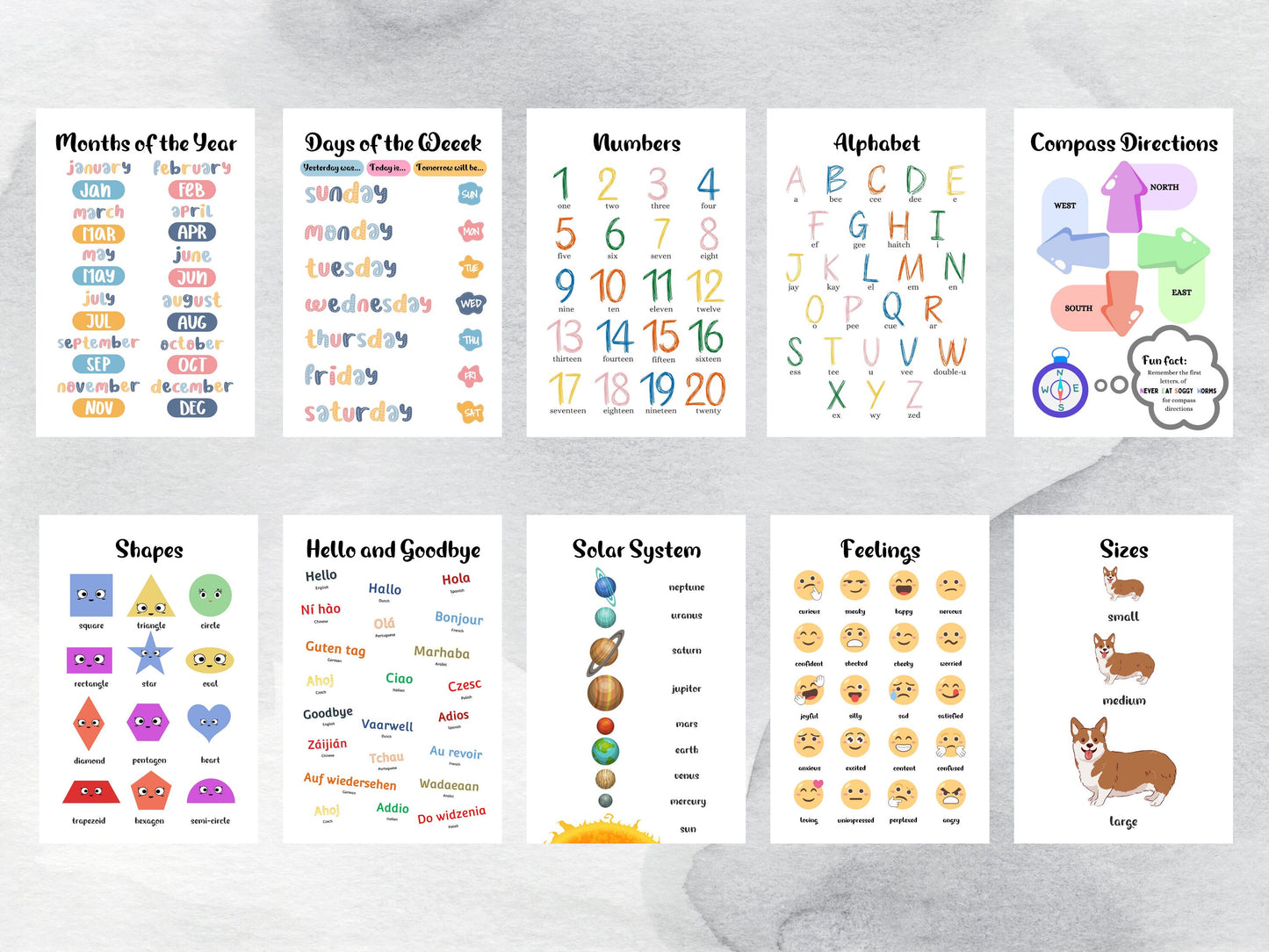 Educational Resources Art Prints & 250+ Flashcards