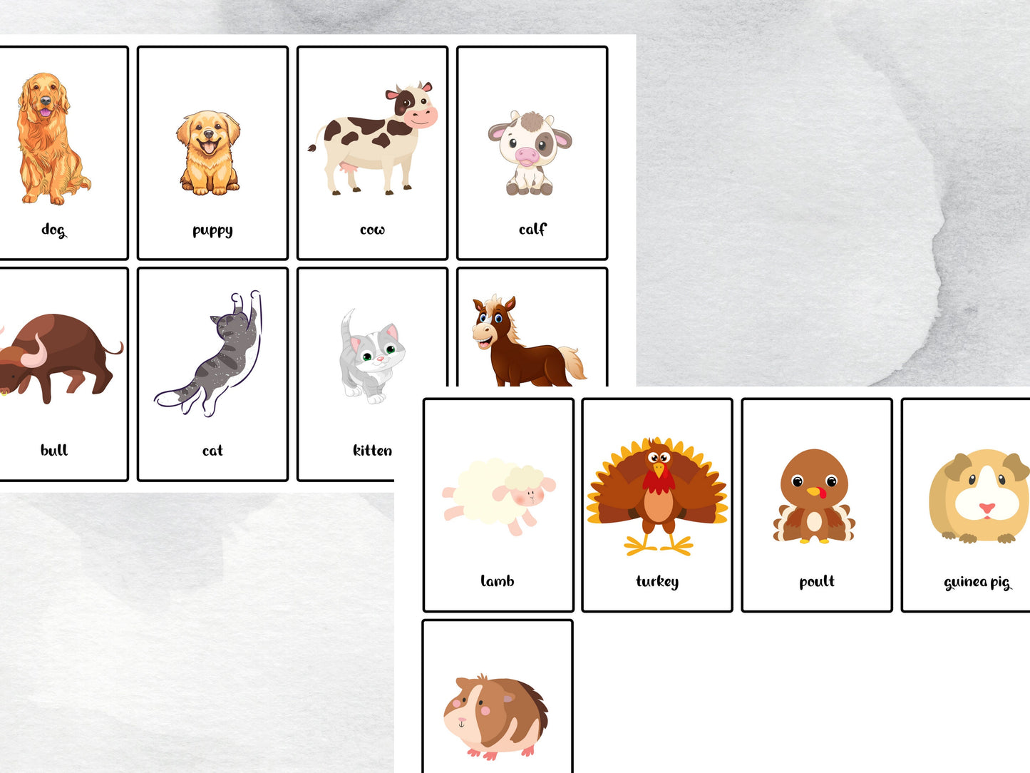 37 Farm Animals & Their Babies Flashcards