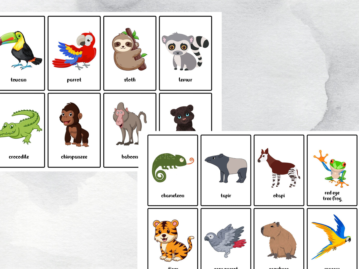 40 Printable Jungle Animal Flash Cards, Educational Printable Cards