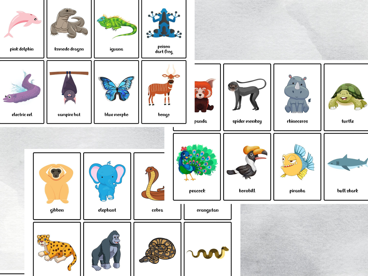 40 Printable Jungle Animal Flash Cards, Educational Printable Cards