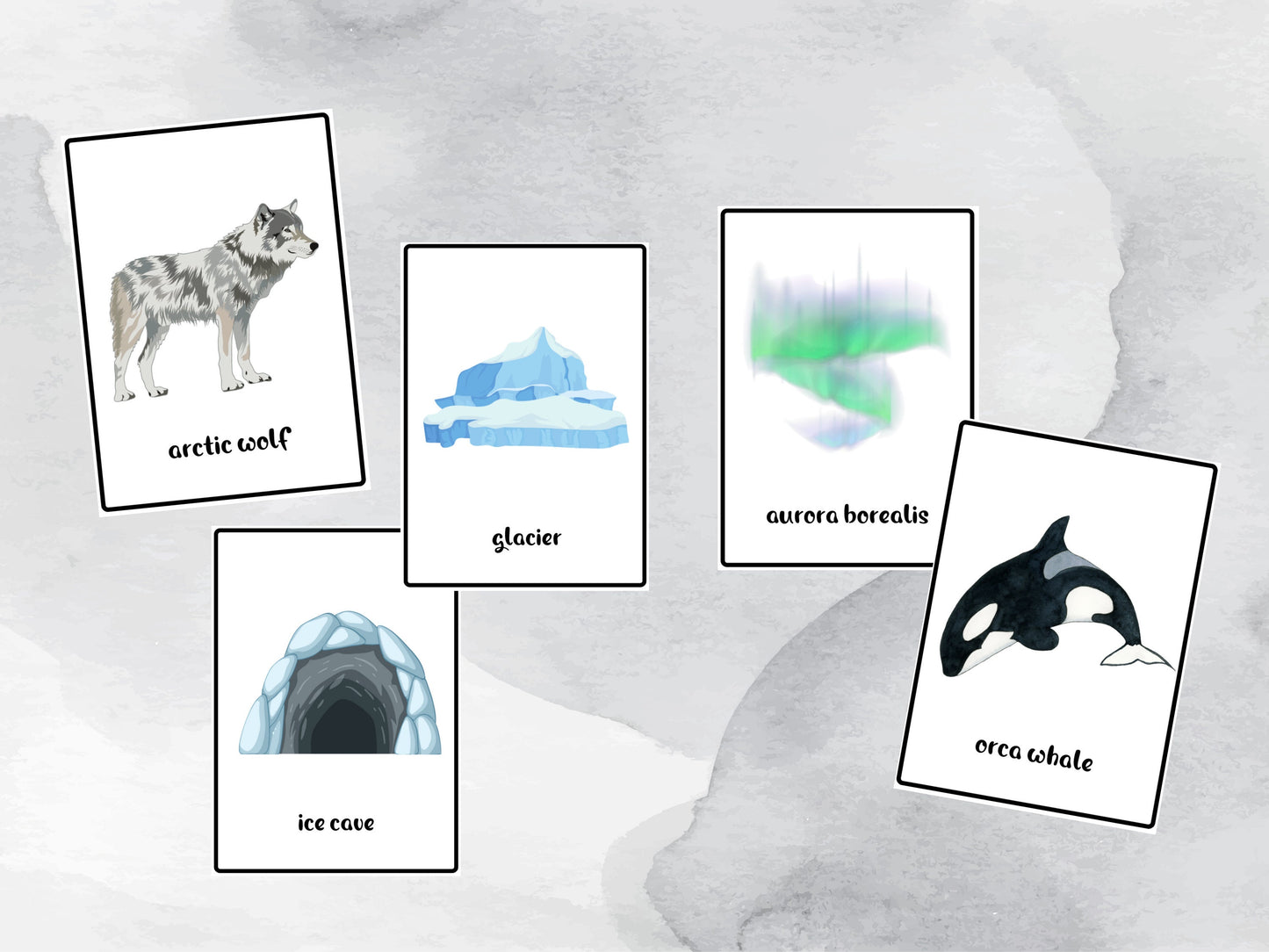 40 Cold Weather Flash Cards, Arctic Animal Vocabulary