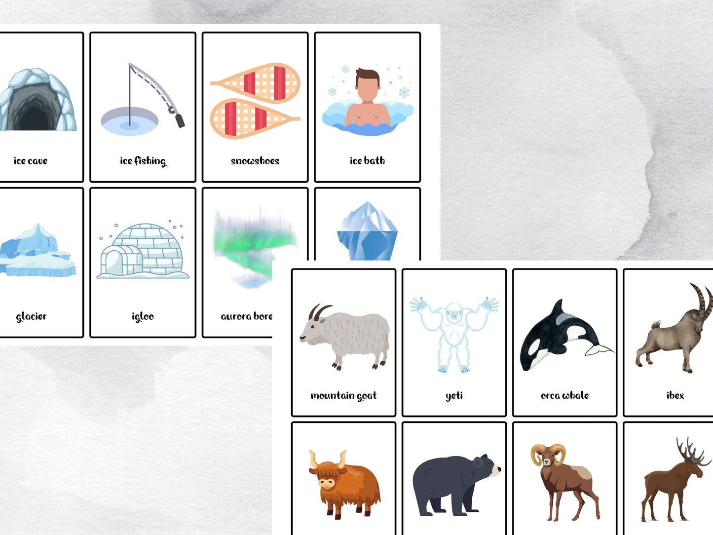 40 Cold Weather Flash Cards, Arctic Animal Vocabulary