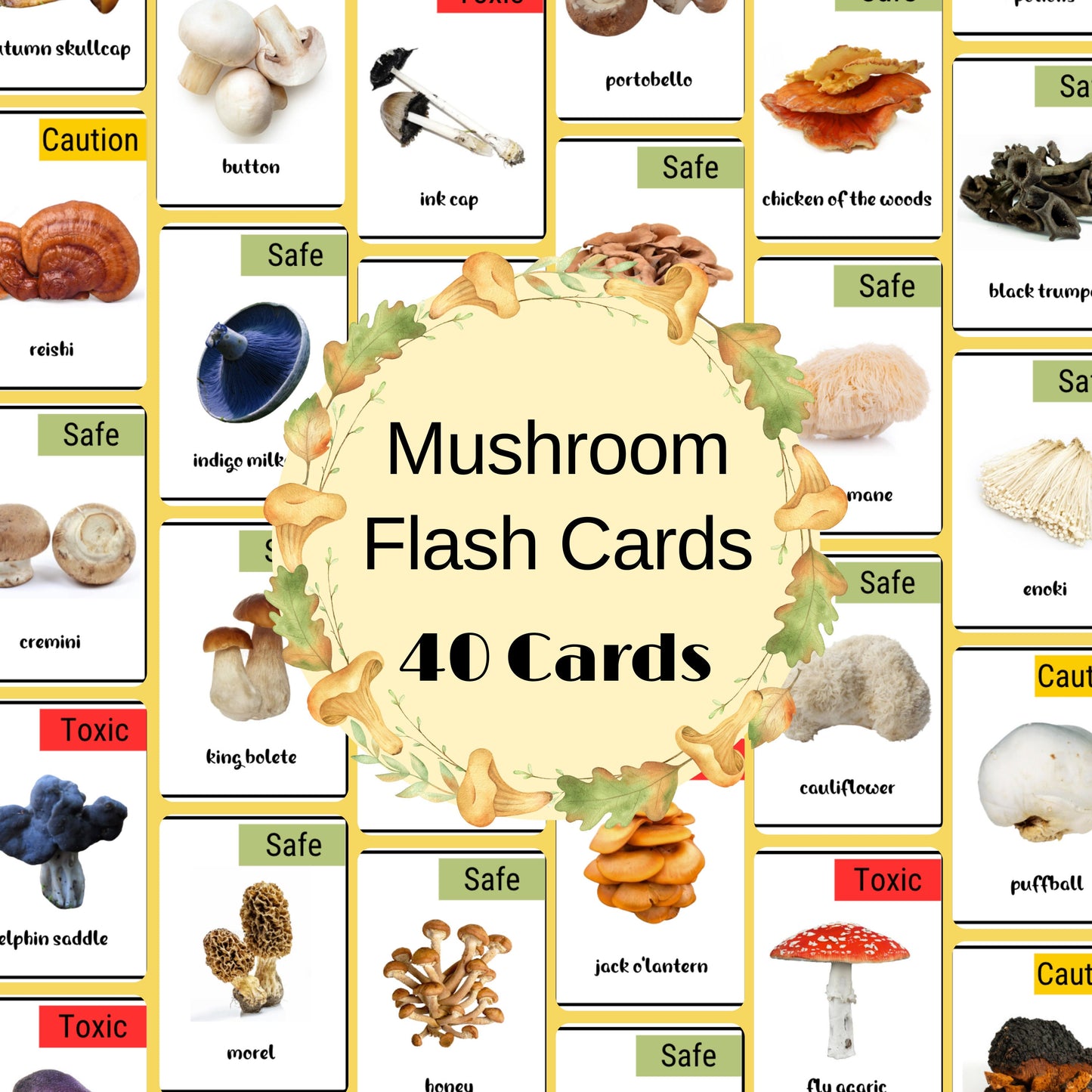 40 Mushroom Flash Card, Safe & Dangerous Fungi Species Identification