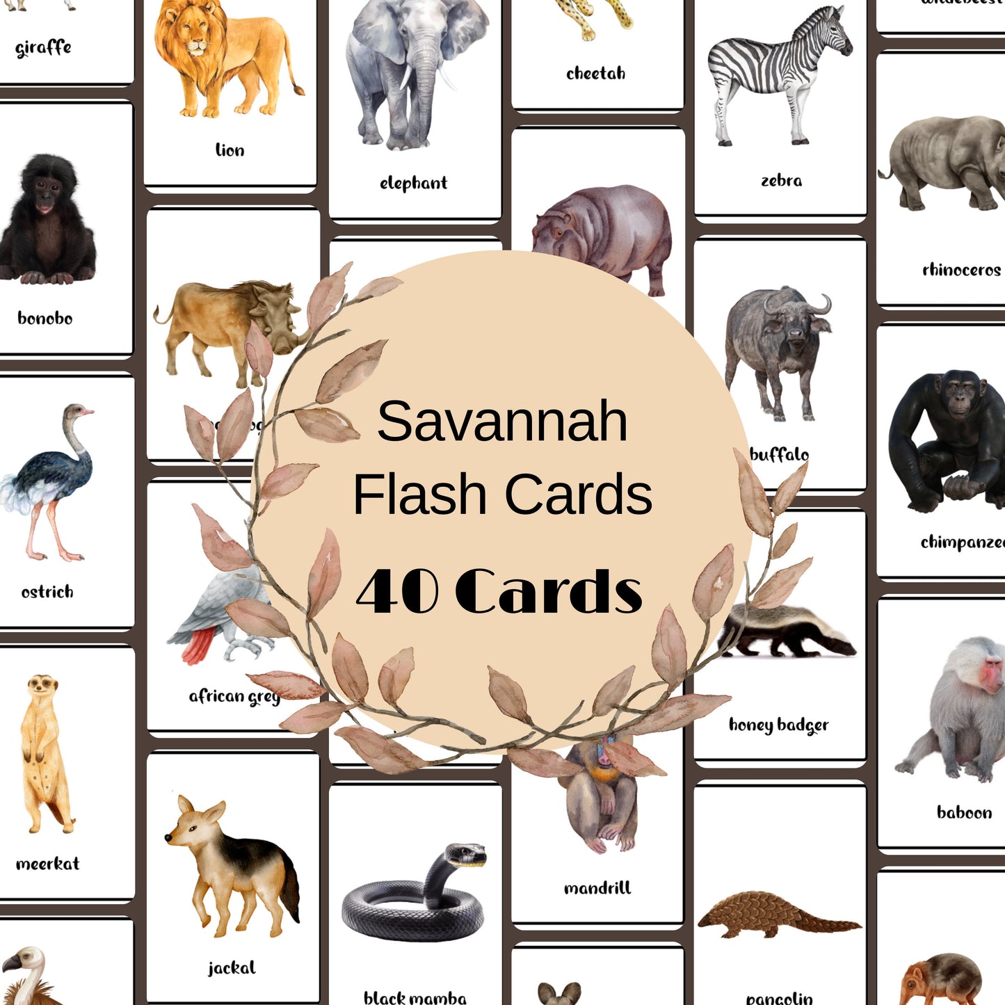 40 Savannah Animals Flash Cards, African Safari Animal Vocabulary