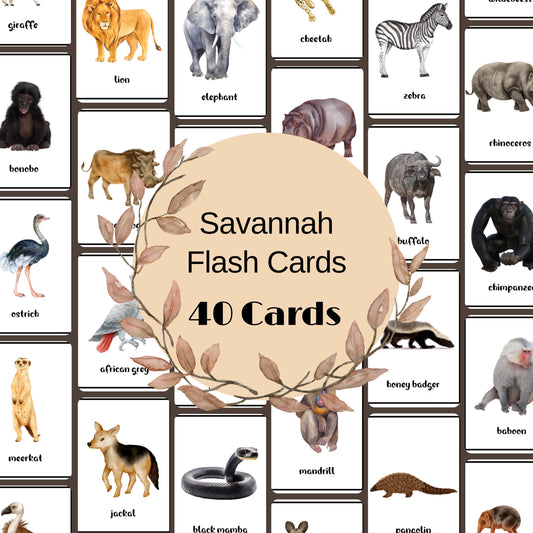 40 Savannah Animals Flash Cards, African Safari Animal Vocabulary