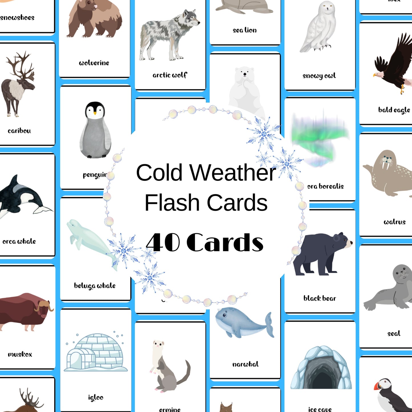 40 Cold Weather Flash Cards, Arctic Animal Vocabulary