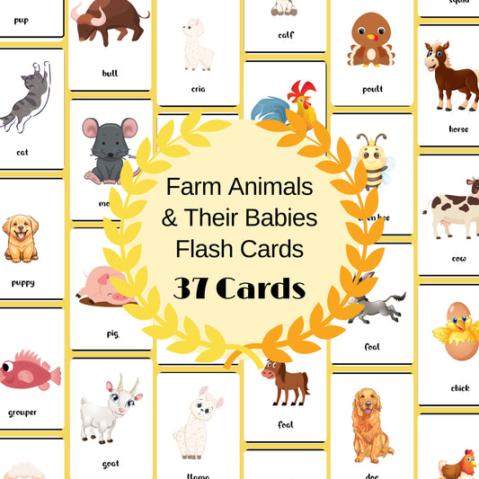 37 Farm Animals & Their Babies Flashcards